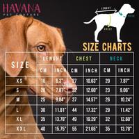 Gambar BAJU ANJING KUCING DRESS J HAVANA 025 JAPANESE WAVE BLUE SIZE XS dari PET SHOP COMPLETE undefined 3 Tokopedia