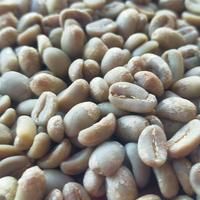 Gambar kopi luwak asli ijen bondowoso dari syifaurrahma undefined 4 Tokopedia