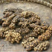 Gambar kopi luwak asli ijen bondowoso dari syifaurrahma undefined 1 Tokopedia