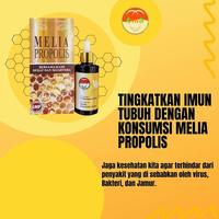 Gambar MELIA PROPOLIS 30ML 5KOTAK PT. MELIASEHAT SEJAHTERA - 5 Kotak dari MADU AL-RAYYAN undefined 2 Tokopedia