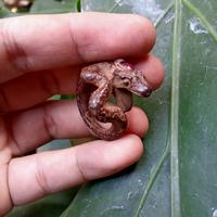 Gambar cincin ular naga dari Amanah antik undefined 3 Tokopedia
