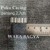 Gambar Paku Cacing Penyambung Kayu Triplek 100gr 250gr 500gr 1kg - 100 gram dari WARA BAGYA undefined 4 Tokopedia