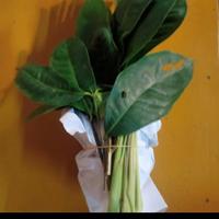 Gambar bumbu dapur komplit 1 paket dari Toko Aira gerak tani undefined 1 Tokopedia