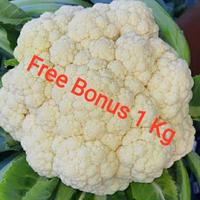 Gambar Kembang Kol 1kg + Gratis Bonus dari omsayurfoods undefined 1 Tokopedia