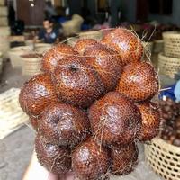 Gambar SALAK PONDO SLEMAN - 1 KG dari inaranahl undefined 1 Tokopedia