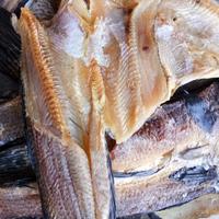 Gambar Ikan gabus haruan kering asin dari ASRIAPUE KETAPANG undefined 1 Tokopedia