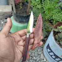 Gambar pisau baja putih imut lucu unik - tanpa sarung dari ALAT DAPUR DAN TANI undefined 2 Tokopedia