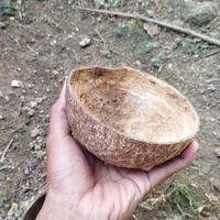 Gambar batok kelapa buat kerajinan/tempat makan ayam/bikin arang dari BettaLocalOfficial undefined 4 Tokopedia