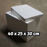 Gambar 40x25x30 cm Styrofoam Box Ikan Baru Packing Frozen Food dari Styrofoam Box Kudus SUPPLIER GROSIR ECER undefined 2 Tokopedia
