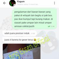 Gambar [King essen] esen essen khusus ikan mas Babon rame pengumpul ikan dari Yuka yuka guwe undefined 5 Tokopedia