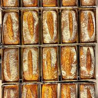 Gambar GIANTS SOURDOUGH LOAF 550 GR - Sliced 10 mm dari dapur calista undefined 1 Tokopedia
