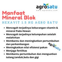 Gambar Mineral Blok Hexavit 1.5Kg Garam Multivitamin Sapi Kambing Domba Kuda dari Agro Satu undefined 3 Tokopedia
