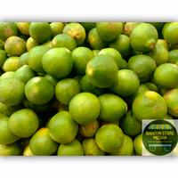Gambar [TERMURAH] Jeruk Nipis Begu / Asam Begu 500gr - 1kg dari Bangun Store Medan undefined 1 Tokopedia