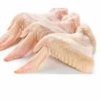 Gambar Sayap Ayam Segar 500gram dari PASAR SEGAR CIPULIR undefined 1 Tokopedia