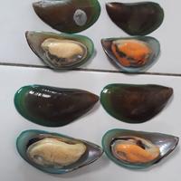 Gambar KERANG HIJAU CANGKANG SEBELAH 500 GRAM dari Lucky Seafood undefined 4 Tokopedia