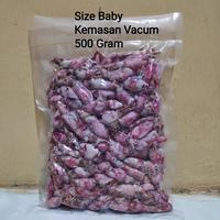 Gambar Sotong / Cumi / Cumi Asin / Cumi Rebus 500 Gram Size Jumbo|Sedang|Baby dari ramcar17 undefined 4 Tokopedia