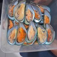Gambar KERANG HIJAU CANGKANG SEBELAH 500 GRAM dari Lucky Seafood undefined 3 Tokopedia