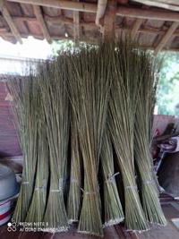 Gambar Sapu lidi pelepah sawit besar dan kuat dari BroUdun_store undefined 2 Tokopedia