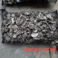 Gambar kerang oyster 5 kg plus jaring dari IKIKOIKU STORE undefined 1 Tokopedia