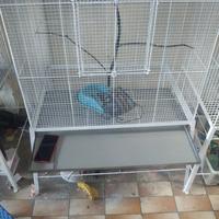 Gambar kandang burung lovebird/kandang koloni burung Besar dari tokoandalasfasifick undefined 5 Tokopedia