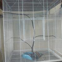 Gambar kandang burung lovebird/kandang koloni burung Besar dari tokoandalasfasifick undefined 3 Tokopedia