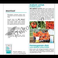 Gambar PUPUK NPK MUTIARA 16 16 16 MEROKE KEMASAN PABRIK 50 KG VIA GOSEND GRAB dari tokooreyo undefined 4 Tokopedia