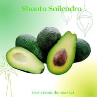 Gambar BUAH ALPUKAT APOKAT AVOCADO 1 KG dari SHANTA SAILENDRA undefined 1 Tokopedia