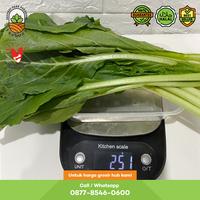 Gambar Sawi Hijau 250 gram (1/4 Kg) dari Yezbozz Shop undefined 2 Tokopedia