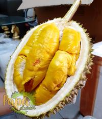 Gambar Durian Fresh Musang King - Utuh Bulat 1.5 - 2.5 KG - Papadurenjkt - 1.5 - 1.6 Kg dari PapaDurenJkt undefined 5 Tokopedia