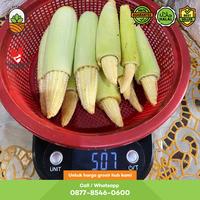 Gambar Jagung Muda / Putren 500 gram (1/2 Kg) dari Yezbozz Shop undefined 2 Tokopedia