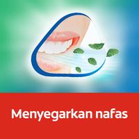 Gambar Colgate Pasta Gigi Triple Action 180gr - Isi 4 dari Colgate Palmolive Indonesia undefined 5 Tokopedia
