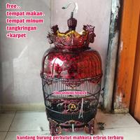 Gambar kandang burung perkutut mahkota/sangkar perkutut mahkota erbrus/kandng dari tokoandalasfasifick undefined 1 Tokopedia