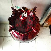 Gambar kandang burung perkutut mahkota/sangkar perkutut mahkota erbrus/kandng dari tokoandalasfasifick undefined 3 Tokopedia