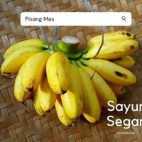 Gambar Pisang Mas persisir dari Sayur Segar Palembang undefined 1 Tokopedia