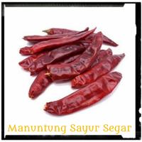 Gambar Cabe Merah Kering 100gr dari Manuntung Sayur Segar undefined 1 Tokopedia