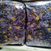 Gambar Insomnia / Dried Blue Lotus / Bunga Lotus Biru dari Vegan Living undefined 5 Tokopedia