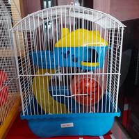 Gambar KANDANG HAMSTER BERTINGKAT MURAH dari Jaya Phone Padang undefined 1 Tokopedia
