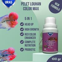 Gambar Pakan Ikan untuk warna Carophyll Spirulina Louhan Kamfa Koi Blitar - 2 mm / S, 100 gram dari Toko Segen undefined 1 Tokopedia