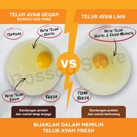 Gambar Telur Ayam Negeri Segar Grade A 30 butir ( 1tray ) telor ayam premium - 8 Tray dari Seven Plus Indonesia undefined 4 Tokopedia