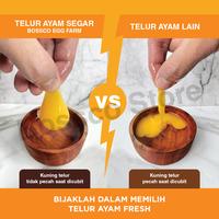 Gambar Telur Ayam Negeri Segar Grade A 30 butir ( 1tray ) telor ayam premium - 8 Tray dari Seven Plus Indonesia undefined 3 Tokopedia