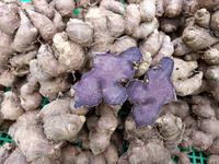 Gambar Kunyit Hitam Asli 1KG dari CV. TANAMBERKAHJAYA undefined 1 Tokopedia