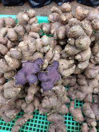 Gambar Kunyit Hitam Asli 1KG dari CV. TANAMBERKAHJAYA undefined 4 Tokopedia