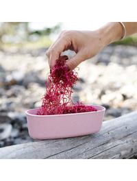 Gambar Kotak Makan Light My Fire SnapBox oval BIO 2 pack dari Kayak Outdoor undefined 2 Tokopedia
