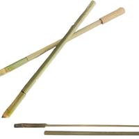 Gambar Mainan Bambu Pletokan Permainan Tradisional Jadul dari resTuku Online undefined 2 Tokopedia