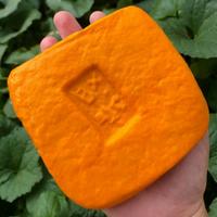 Gambar tahu tekwa/tahu orange dari Dunia sayur undefined 2 Tokopedia