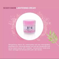 Gambar Seger Snow Skin Lightening Cream 35gr Plus SEGER & CO GLISERIN 25ML dari larisbpn olshop undefined 4 Tokopedia