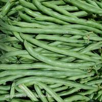 Gambar Buncis | Buncis 500 gram | Buncis 250 gram | Buncis 1 Kg - 1/2 kg dari Warung.sayur.depok undefined 1 Tokopedia