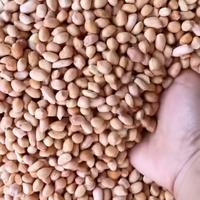 Gambar kacang tanah 1kg lokal - 160 gram dari Enka Online undefined 2 Tokopedia