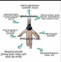 Gambar Madu Hitam Prima Sumbawa fre bable wrap kardus dari Madu asli sumbawa_NEW undefined 1 Tokopedia