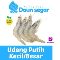 Gambar Udang Putih Segar Kecil dan Besar 1/4kg - Kecil dari Daun Segar Official undefined 1 Tokopedia